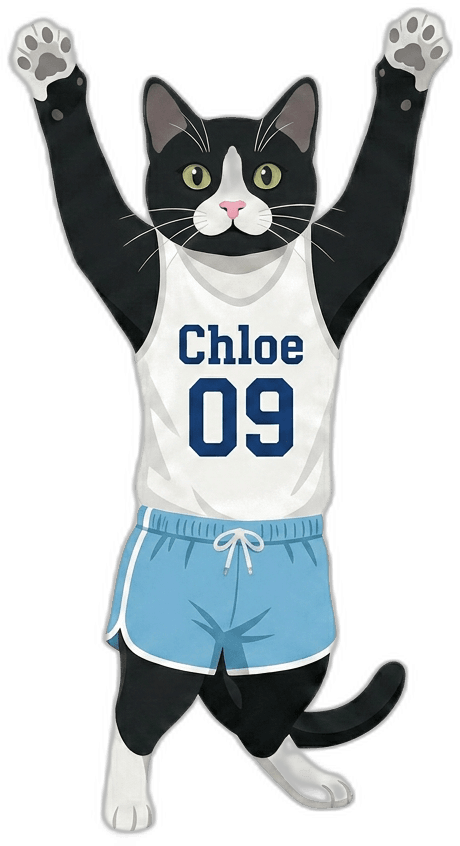 Chloe, a SIDECAR cat